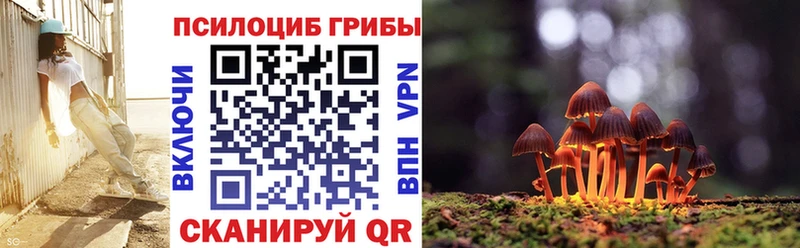 Псилоцибиновые грибы Cubensis Горячий Ключ