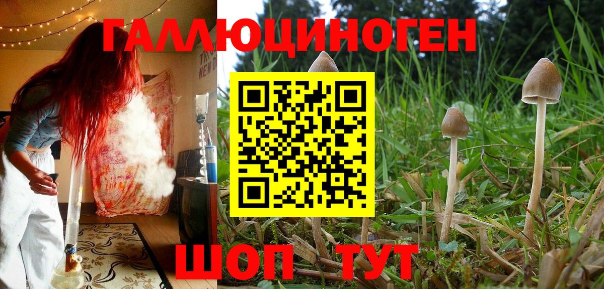 Горячий Ключ  как найти   Вход с VPN  Псилоцибиновые грибы GOLDEN TEACHER  Галлюциногенные грибы мухоморы 